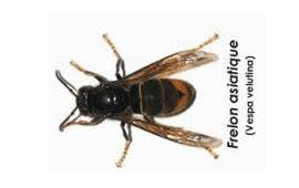 Réalisation Verneuil-en-Halatte