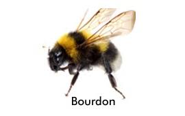 Réalisation Verneuil-en-Halatte