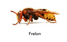 Réalisation Verneuil-en-Halatte